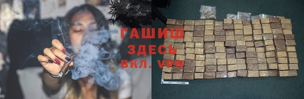 сатива Алзамай